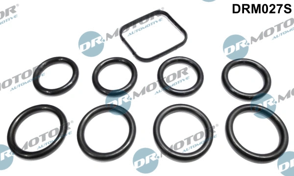 Gasket Set, intake manifold (DRM027S)