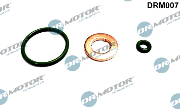Seal Kit, injector nozzle (DRM007)