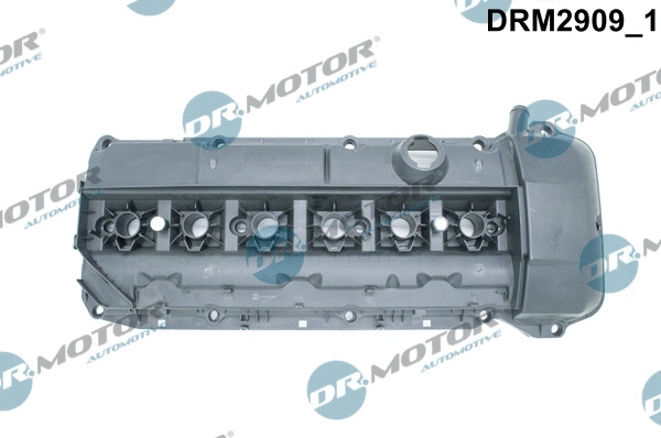 Cylinder Head Cover (DRM2909)
