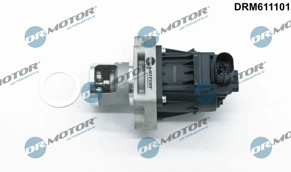 EGR Valve (DRM611101)