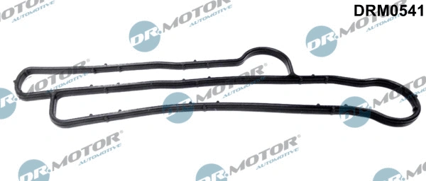 Gasket, oil cooler (DRM0541)