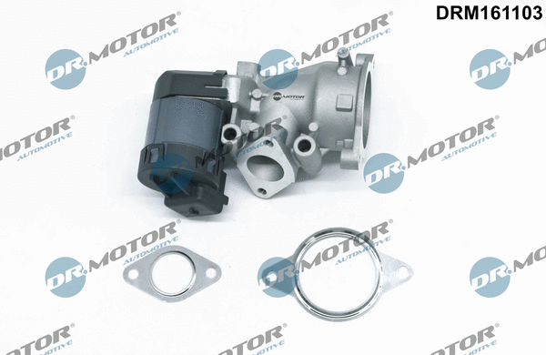 EGR Valve (DRM161103)