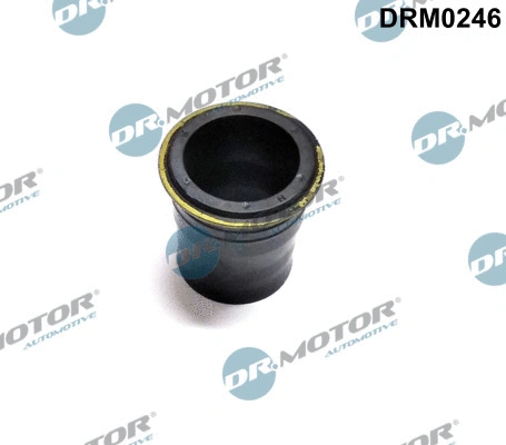 Seal, injector holder (DRM0246)