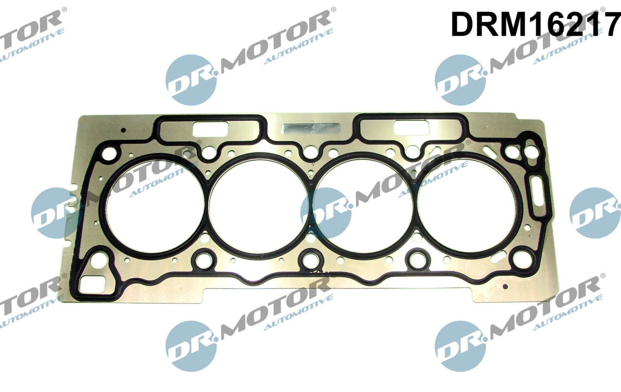 Gasket, cylinder head (DRM16217)