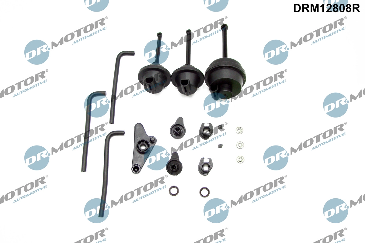 Repair Kit, intake manifold module (DRM12808R)