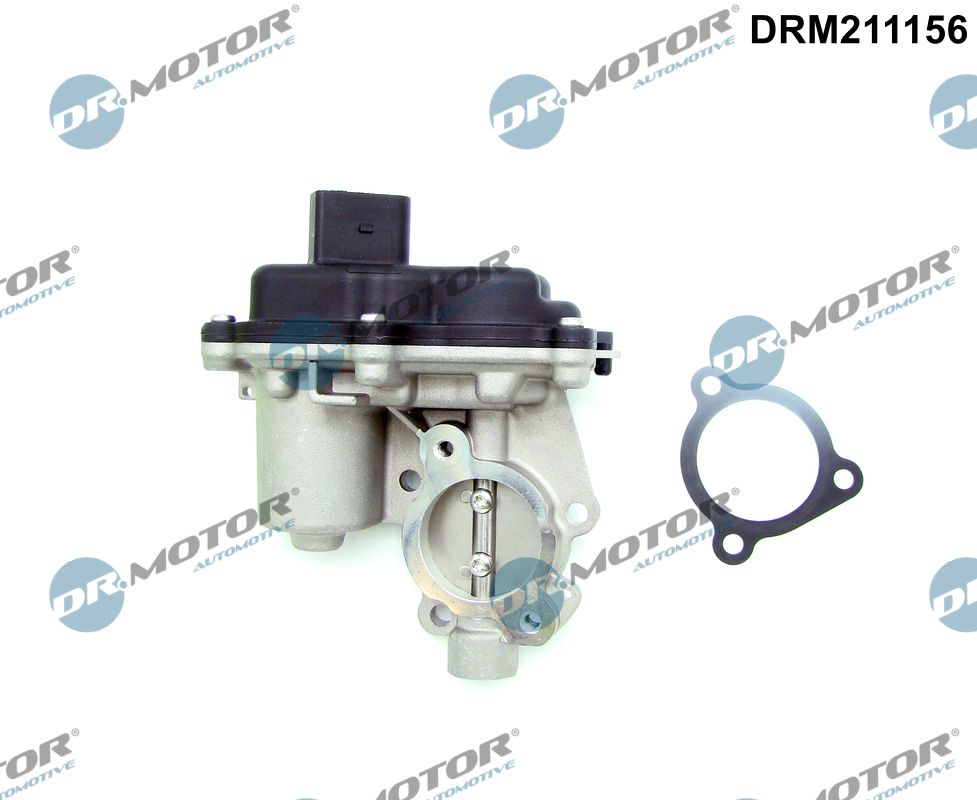 EGR Valve (DRM211156)