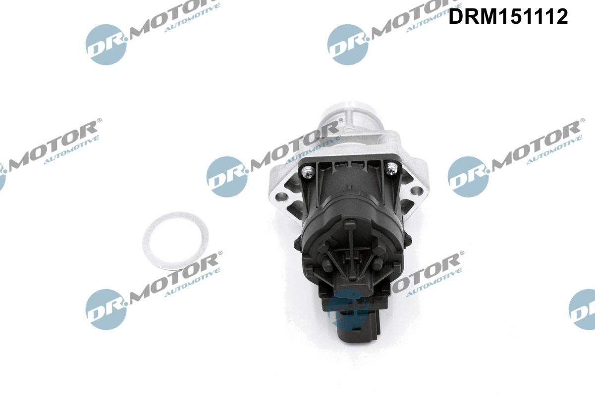 EGR Valve