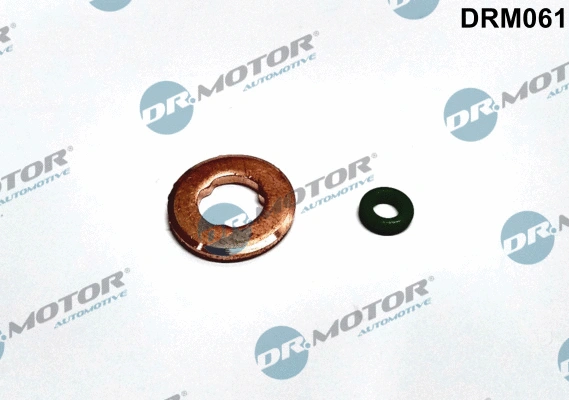 Seal Kit, injector nozzle (DRM061)
