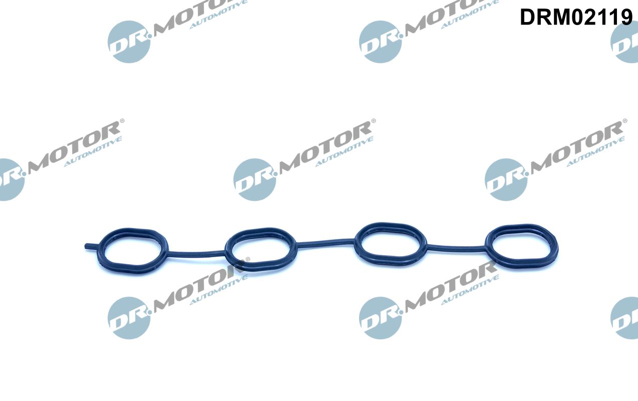 Gasket, intake manifold (DRM02119)