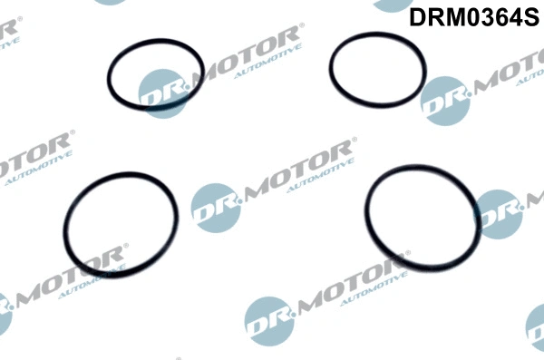 Seal, injector holder (DRM0364S)