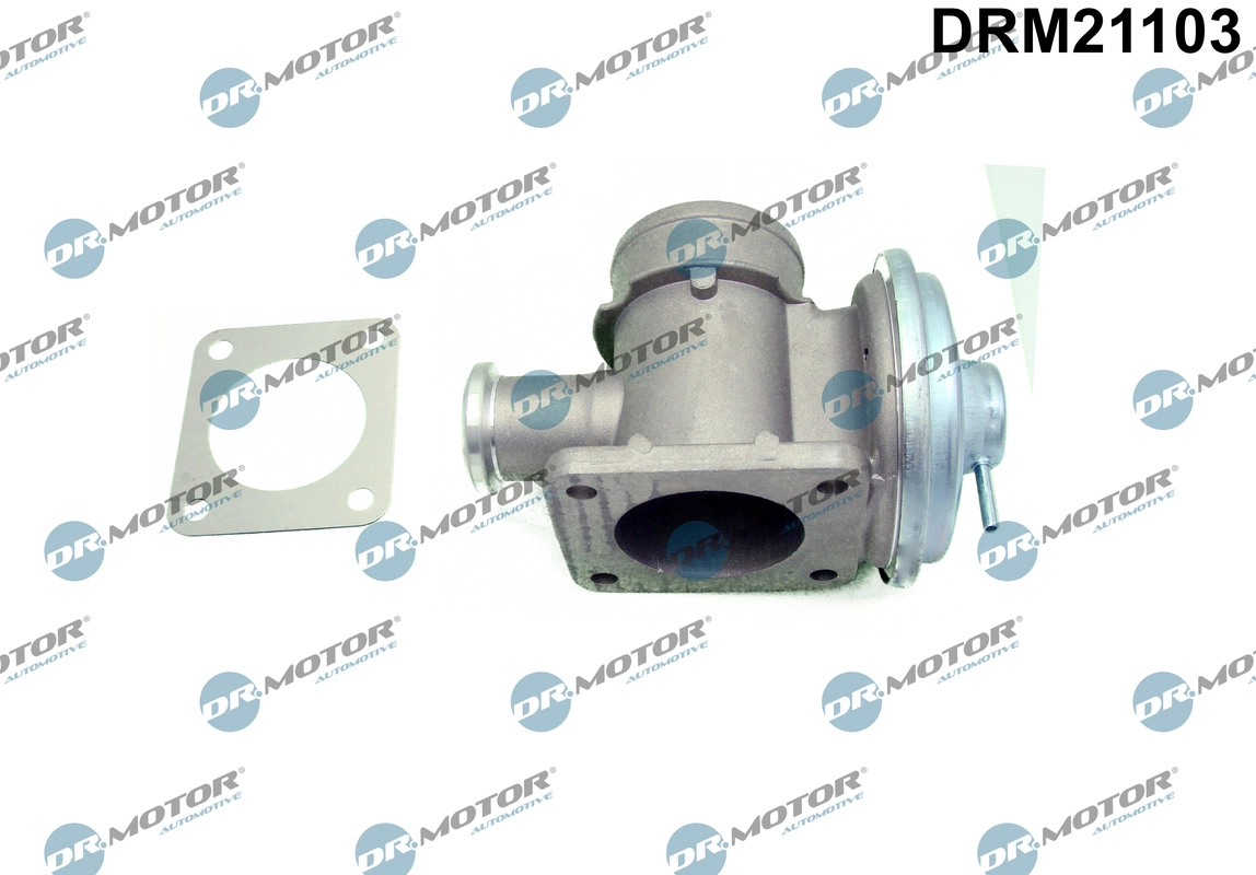EGR Valve (DRM21103)