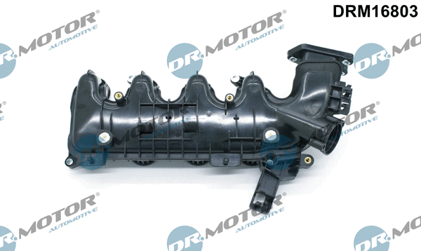 Intake Manifold Module (DRM16803)