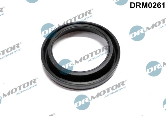 Seal, injector holder (DRM0261)