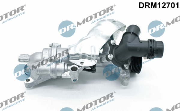 Water Pump, engine cooling (DRM12701)