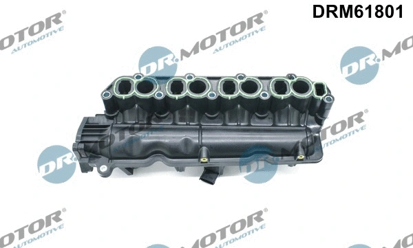 Intake Manifold Module