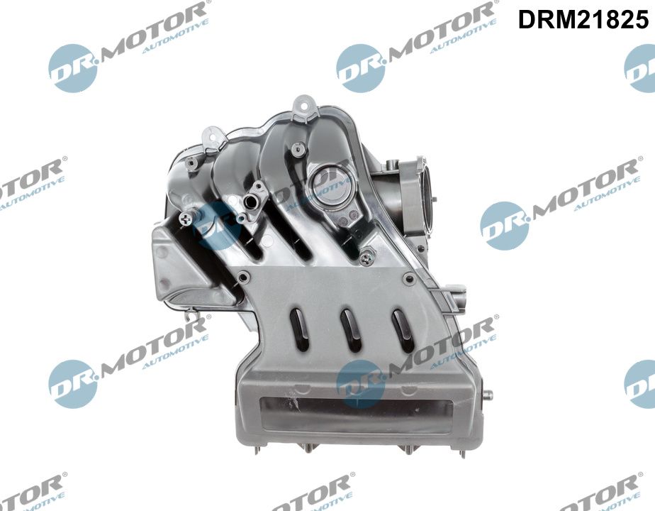 Intake Manifold Module (DRM21825)
