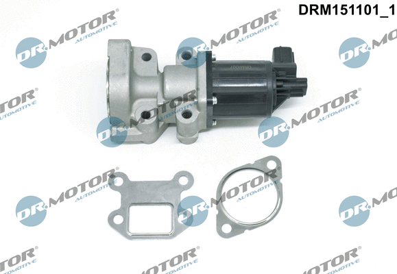 EGR Valve