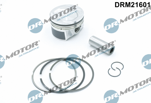 Piston (DRM21601)