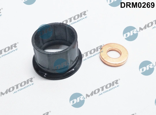 Seal Kit, injector nozzle (DRM0269)