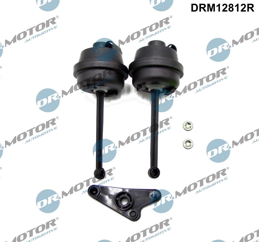 Repair Kit, intake manifold module (DRM12812R)