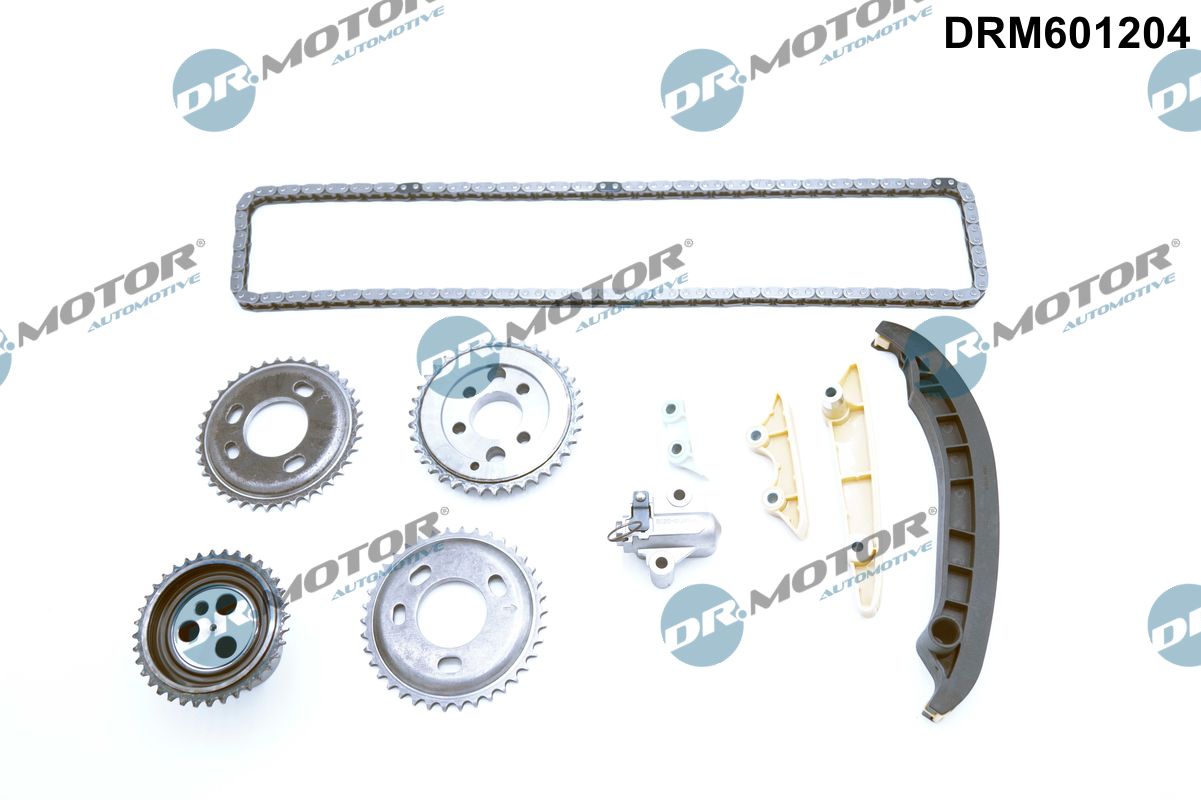 Timing Chain Kit (DRM601204)