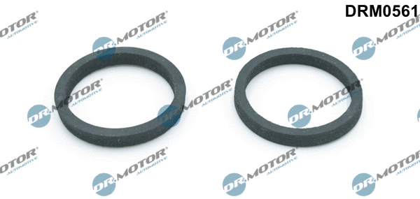 Gasket, oil cooler (DRM0561)