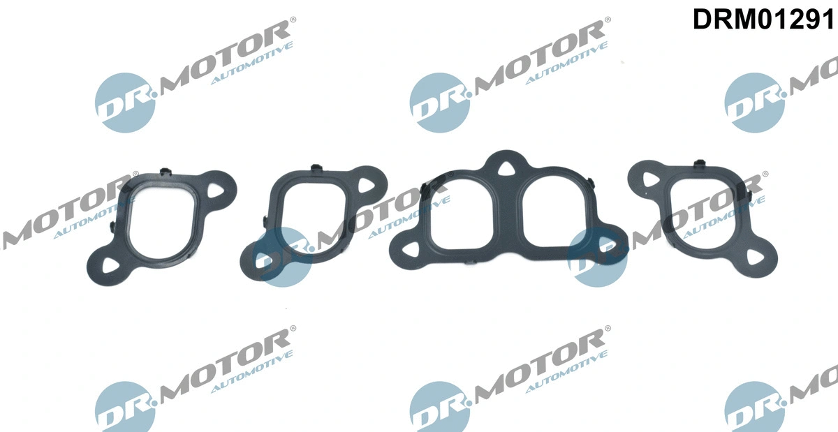 Gasket Set, intake manifold (DRM01291)