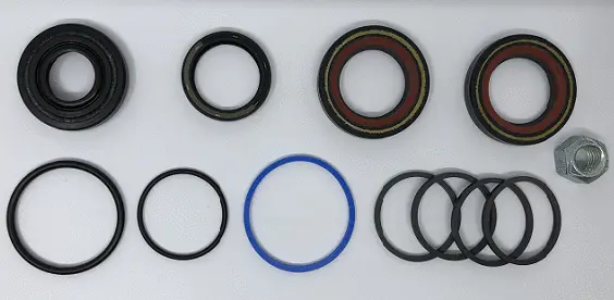 Repair Kit, steering gear (24540553)