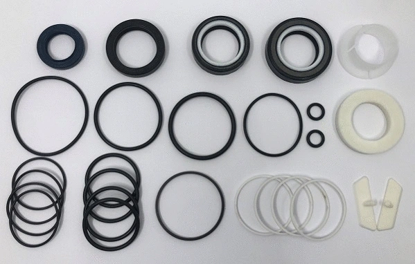 Repair Kit, steering gear (24540456)