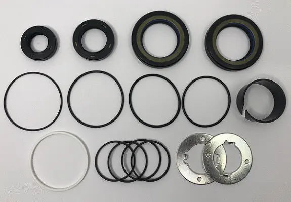 Repair Kit, steering gear (24540511)