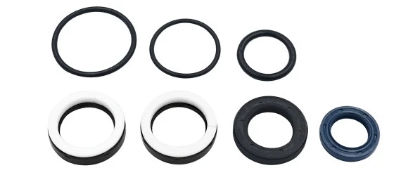 Repair Kit, steering gear (24540787)