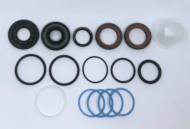 Repair Kit, steering gear (24540215)
