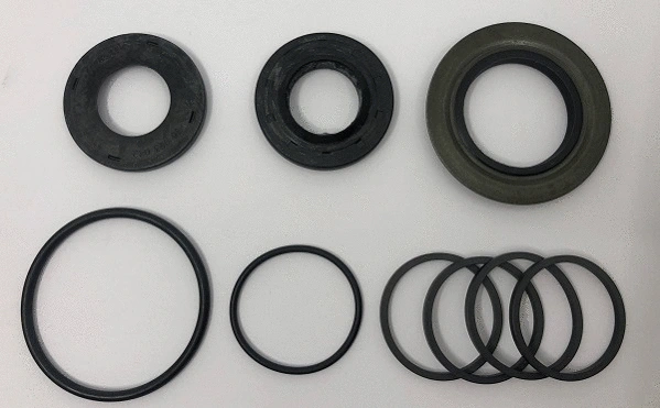 Repair Kit, steering gear (24540209)