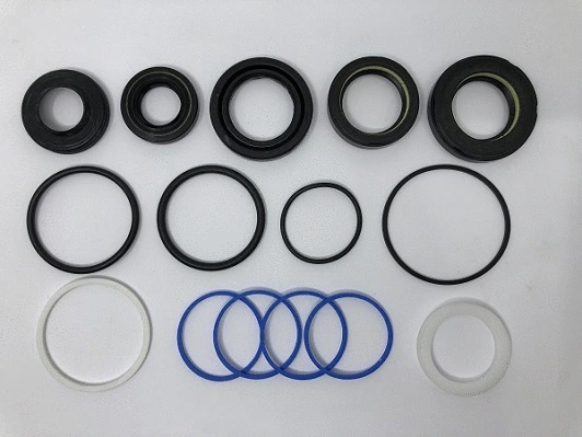 Repair Kit, steering gear (24540448)