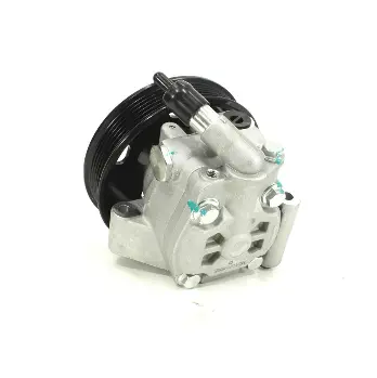 Hydraulic Pump, steering (HPN0421DF)