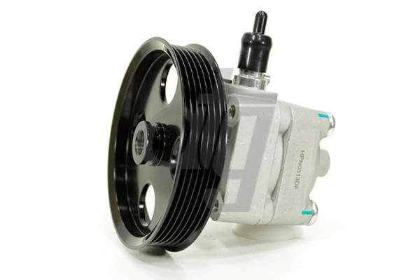 Hydraulic Pump, steering (HPN0313DF)