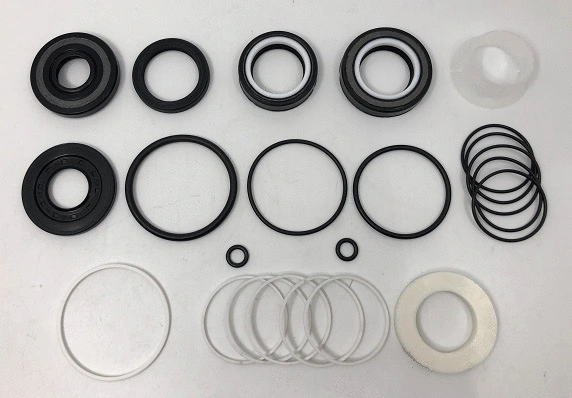 Repair Kit, steering gear (24540572)