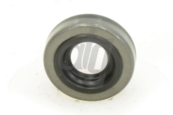 Shaft Seal, power steering pump (90100975)