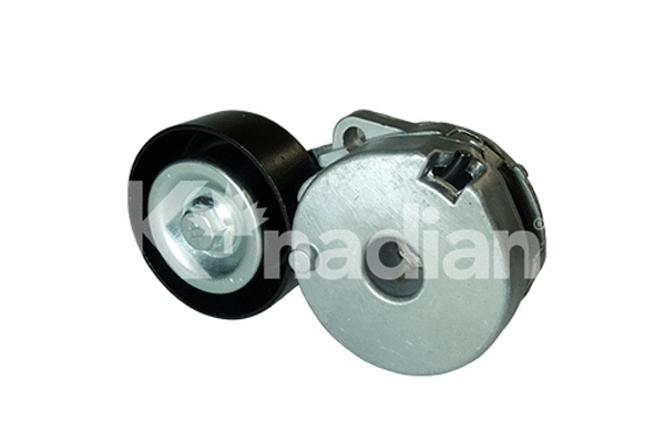 Tensioner Lever, V-ribbed belt (90089)