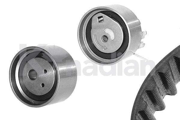 Timing Belt Kit (K259)