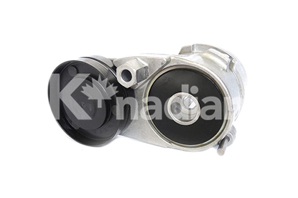 Tensioner Lever, V-ribbed belt (90336)