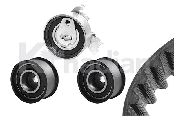 Timing Belt Kit (K309)