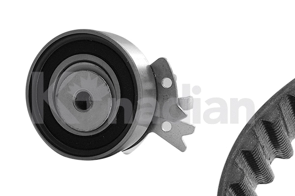 Timing Belt Kit (K203)