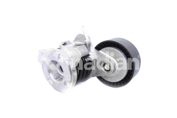 Tensioner Lever, V-ribbed belt