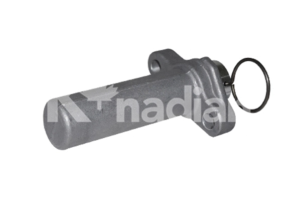 Vibration Damper, timing belt (131596T)