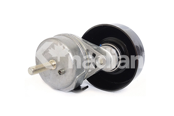 Tensioner Lever, V-ribbed belt