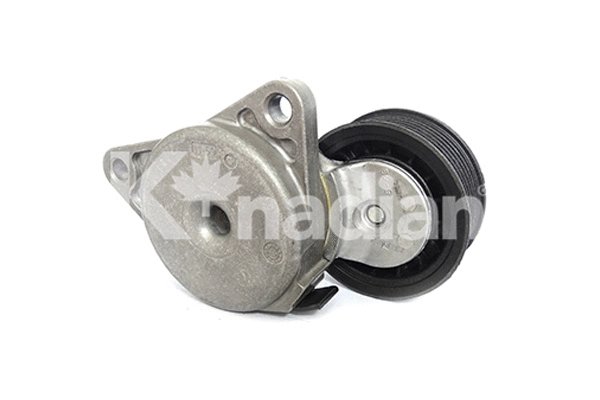Tensioner Lever, V-ribbed belt