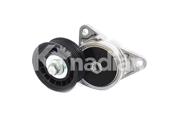 Tensioner Lever, V-ribbed belt (90318)