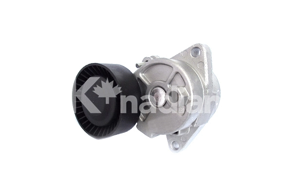 Tensioner Lever, V-ribbed belt (90343)