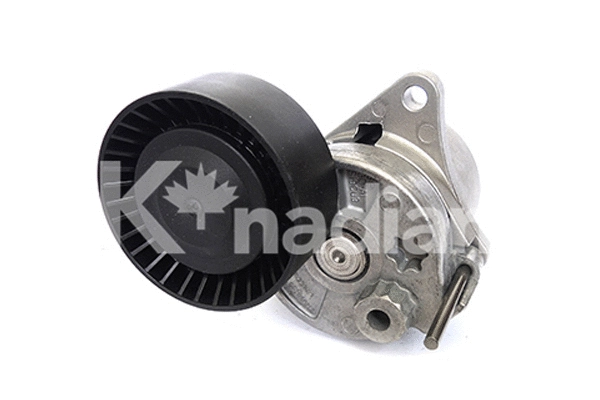Tensioner Lever, V-ribbed belt (902232)